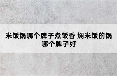 米饭锅哪个牌子煮饭香 焖米饭的锅哪个牌子好